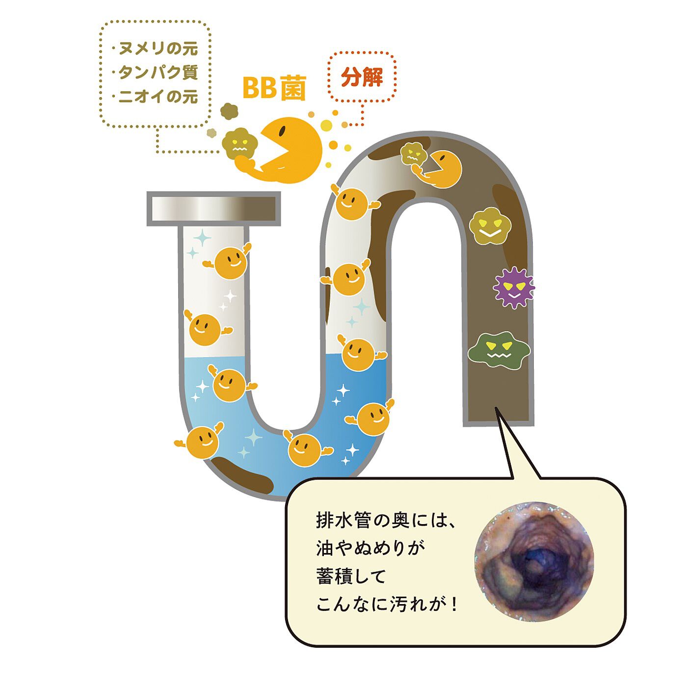 フェリシモの雑貨 Kraso|キッチンまわりのにおい対策　ぬめりに掛けるだけ　ふりふりバイオパウダーの会