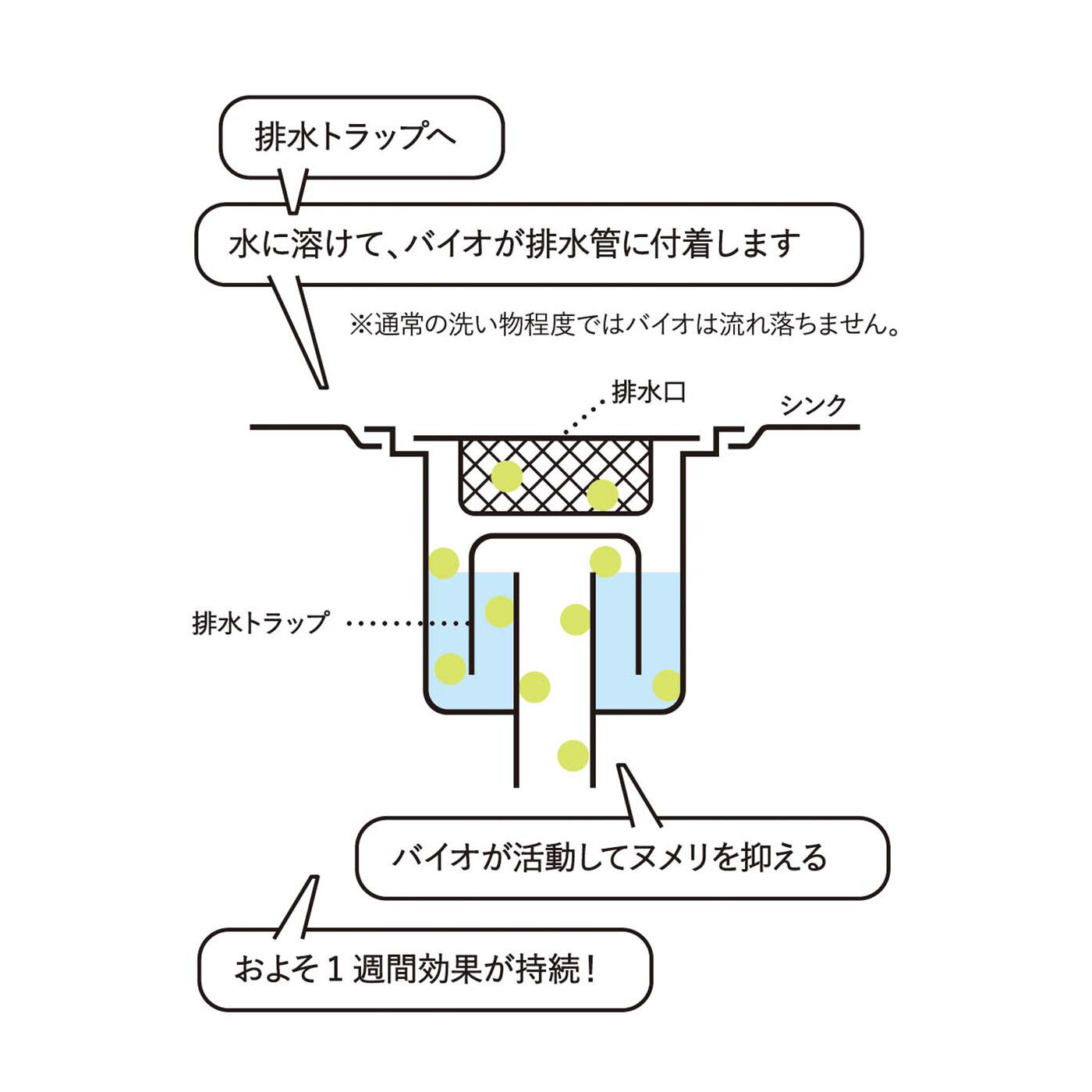 フェリシモの雑貨 Kraso|1/d for Drain　排水口ヌメリ予防剤バイオの会|1回、7粒を排水口に投入。排水トラップ内で水に溶けて、バイオが排水管に付着し、バイオが活動してヌメリを抑えます。約1週間効果が持続します。