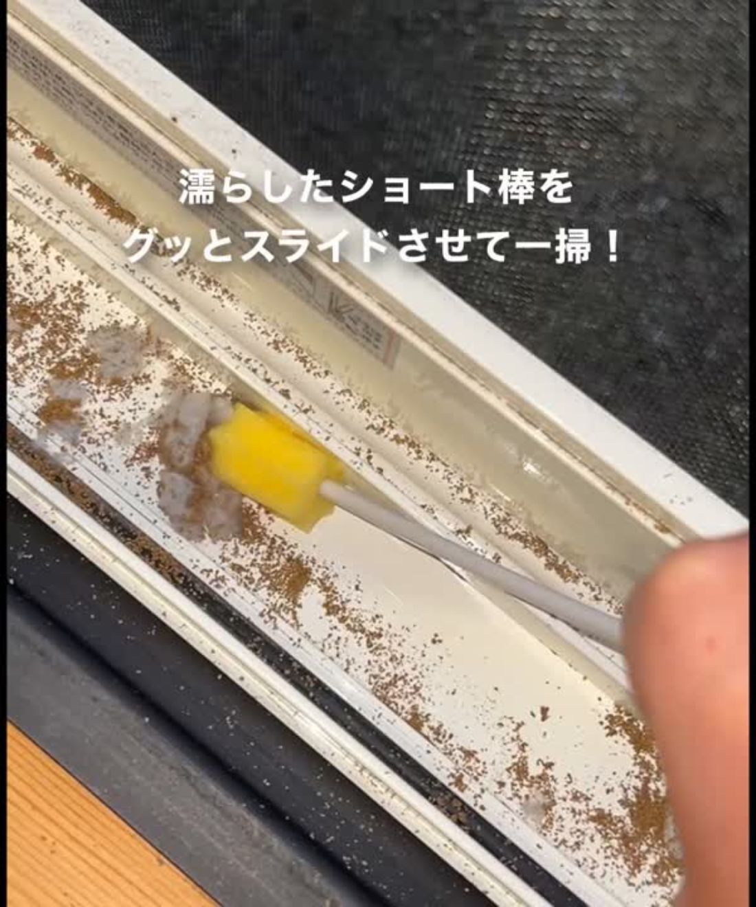 フェリシモの雑貨 Kraso|1/d for Inbetween　15cm＆20cm　すきま用お掃除棒ミックスの会