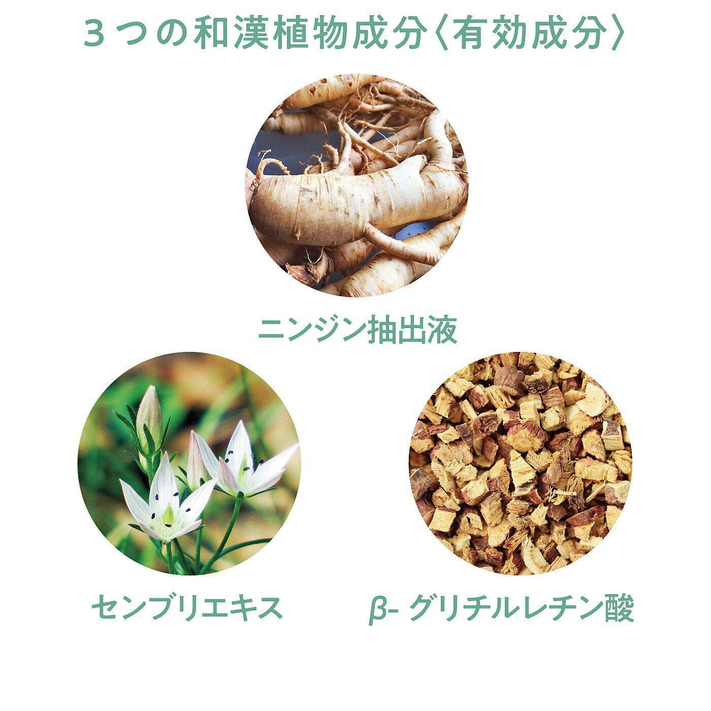 フェリシモの雑貨 Kraso|薄毛や脱毛対策　頭皮からすこやか習慣　発毛促進　薬用育毛スカルプエッセンスの会