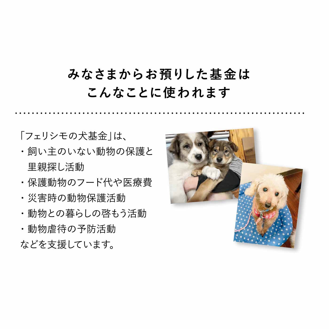 フェリシモの雑貨 Kraso|わんわんチャリティーハンカチ〈ささいちさん〉