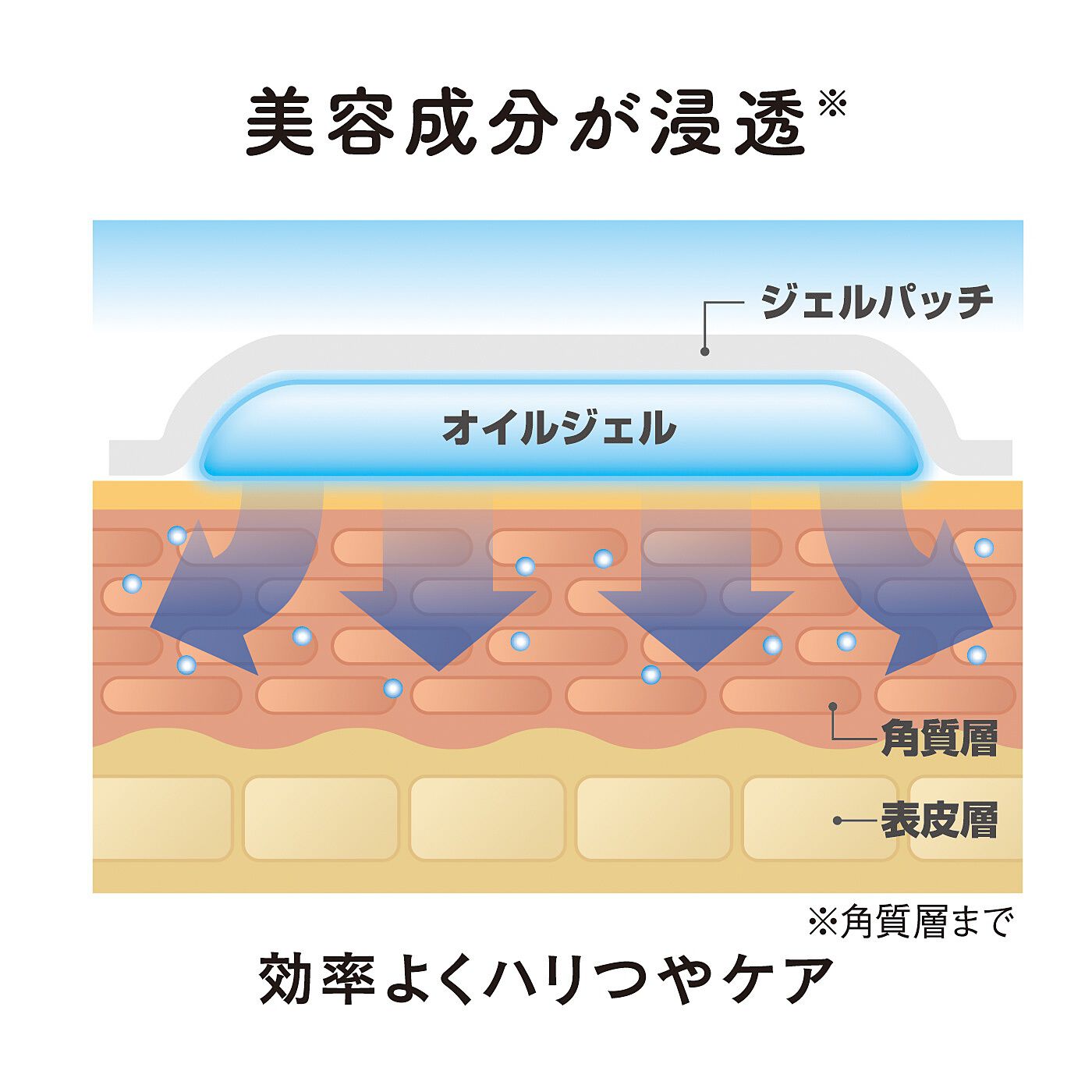 フェリシモの雑貨 Kraso|寝ながらお手入れ　美女メイクナイトパッチ　眉間用ジェルシートの会|美容保湿成分が揮発しにくいオイルゲル仕様。乾燥や加齢によってゆれる肌のお手入れに。