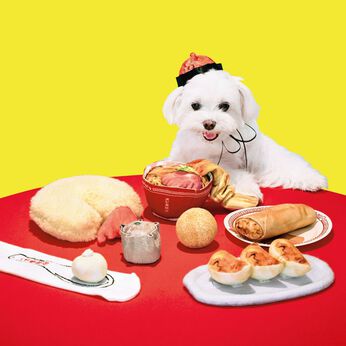 フェリシモの雑貨 Kraso | わんこのための本格中華犬七番飯店の会