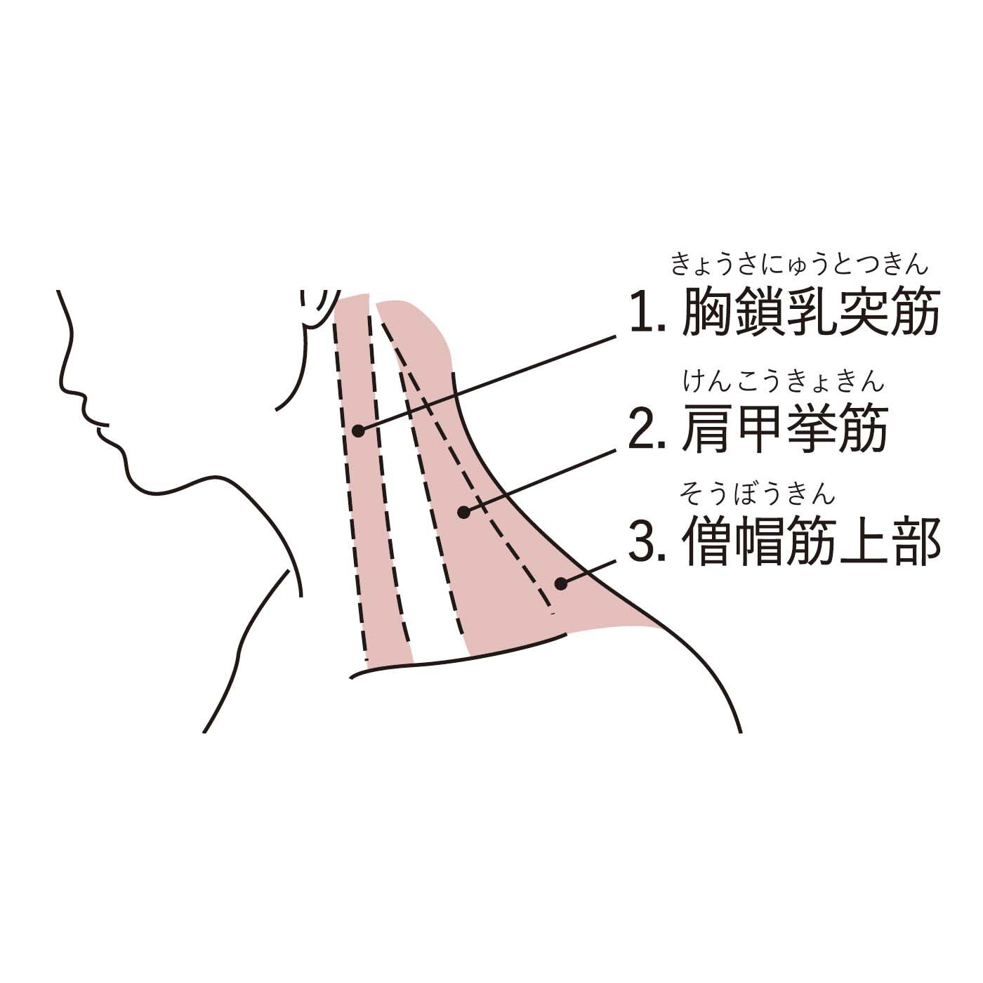 フェリシモの雑貨 Kraso|凝りをほぐして心ものびやか　七色の天然石　開運磁気ネックレスの会|首まわりの3大筋肉にフィット！