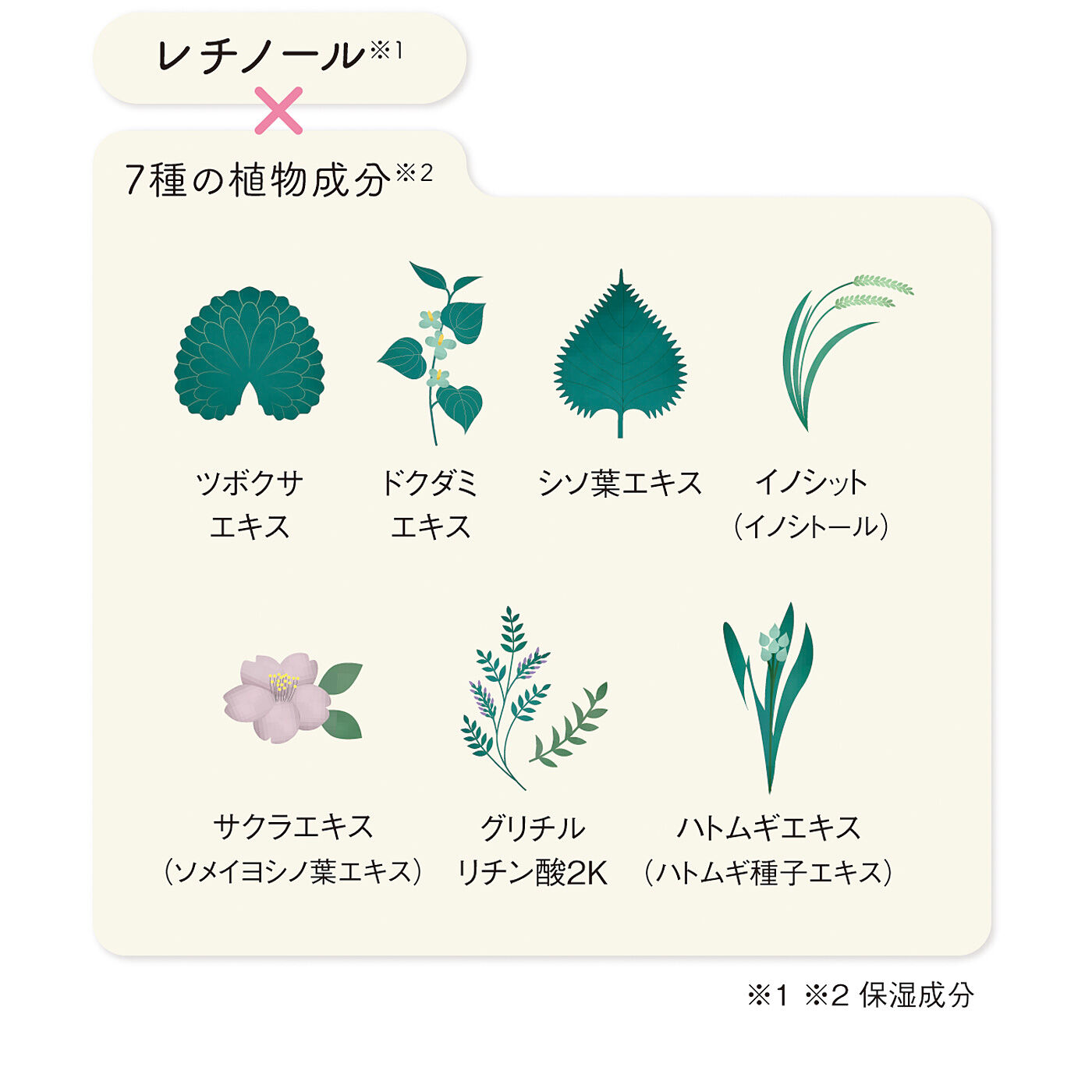 フェリシモの雑貨 Kraso|たっぷり全身に使える！HADAmethod　レチノペアクリームの会