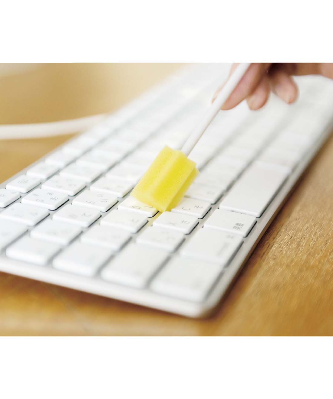 フェリシモの雑貨 Kraso|1/d for Inbetween　15cm＆20cm　すきま用お掃除棒ミックスの会|キーボードの溝も。