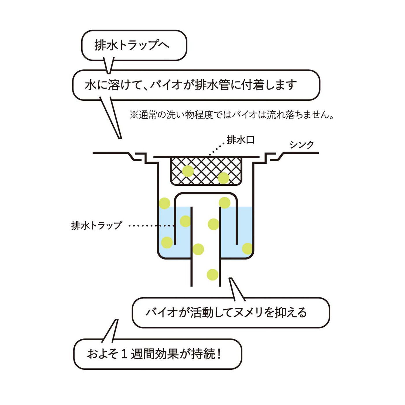 フェリシモの雑貨 Kraso|1/d for Drain　排水口ヌメリ予防剤バイオの会|排水トラップ内で水に溶けて、バイオが排水管に付着し、バイオが活動してヌメリを抑えます。約1週間効果が持続します。