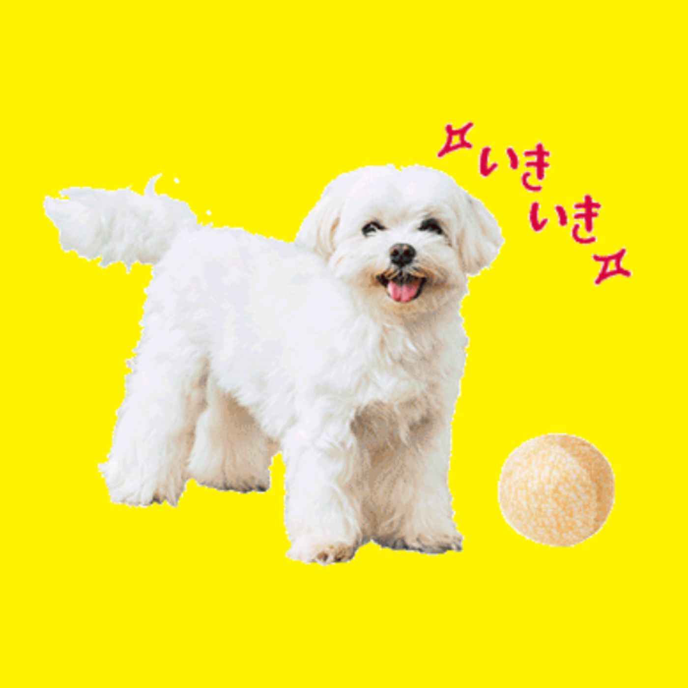 フェリシモの雑貨 Kraso|わんこのための本格中華を好きなだけ、犬七番飯店の会
