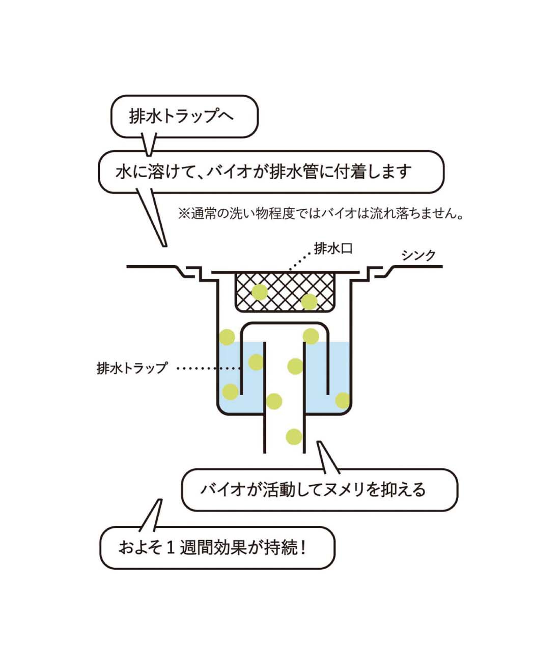 フェリシモの雑貨 Kraso|1/d for Drain　排水口ヌメリ予防剤バイオの会|排水トラップ内で水に溶けて、バイオが排水管に付着し、バイオが活動してヌメリを抑えます。約1週間効果が持続します。