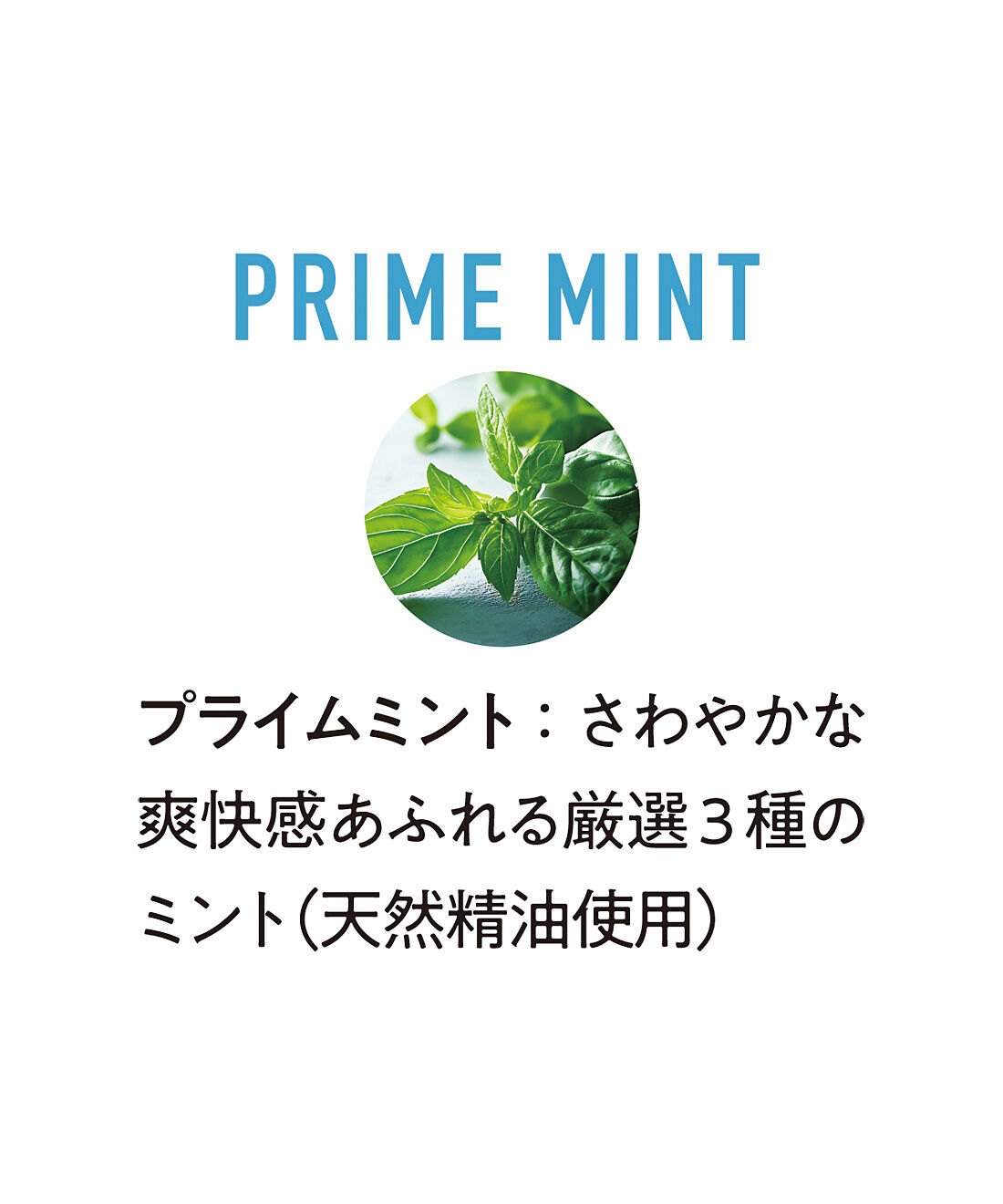 フェリシモの雑貨 Kraso|徹底美白！ 粉で磨くＤｒ．オーラル　３Ｄホワイトニングパウダー〈プライムミント〉の会
