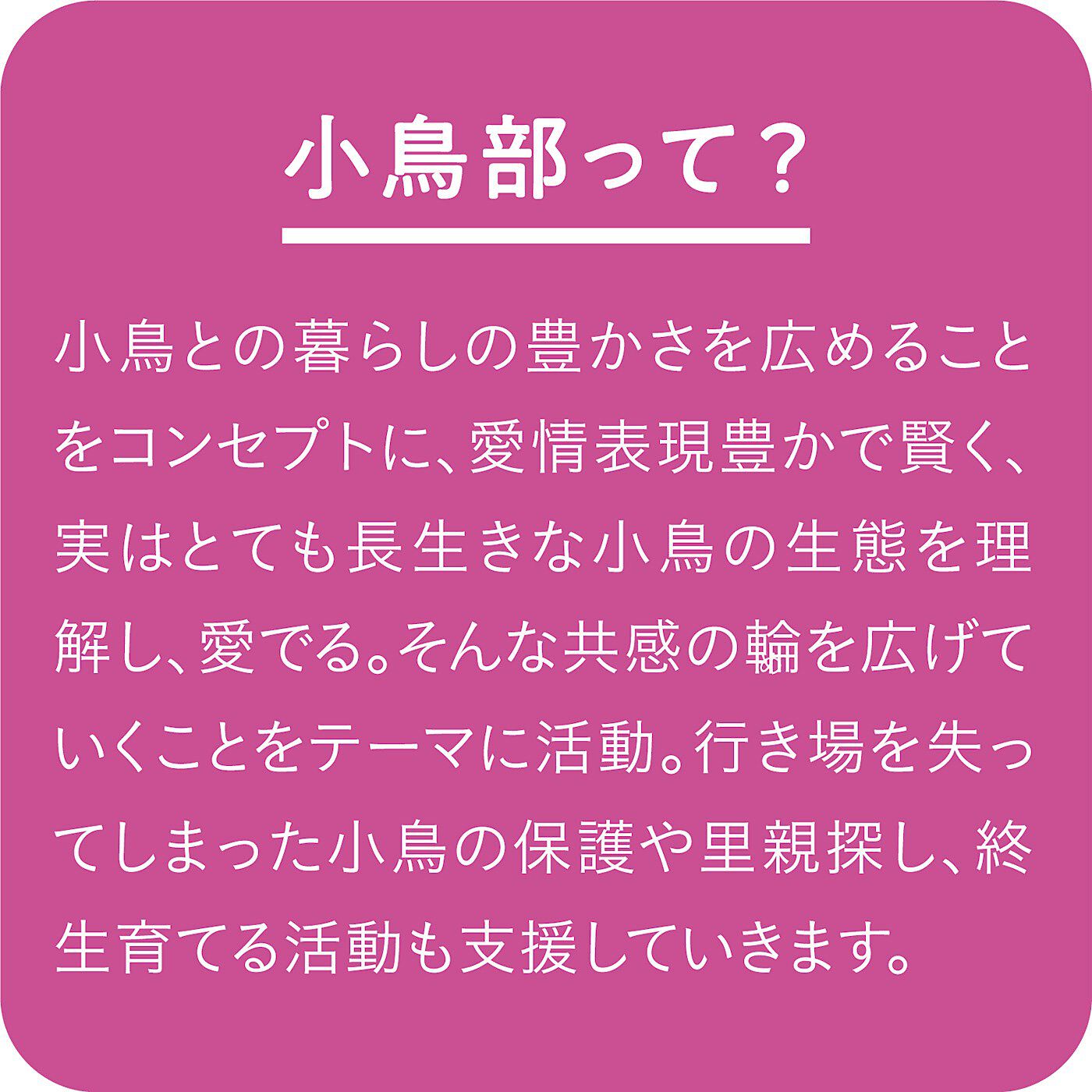 フェリシモの雑貨 Kraso|小鳥部　ちょこんと勢ぞろい ミニ和風マシュマロインコのほうずい〈チョコ餡（あん）〉