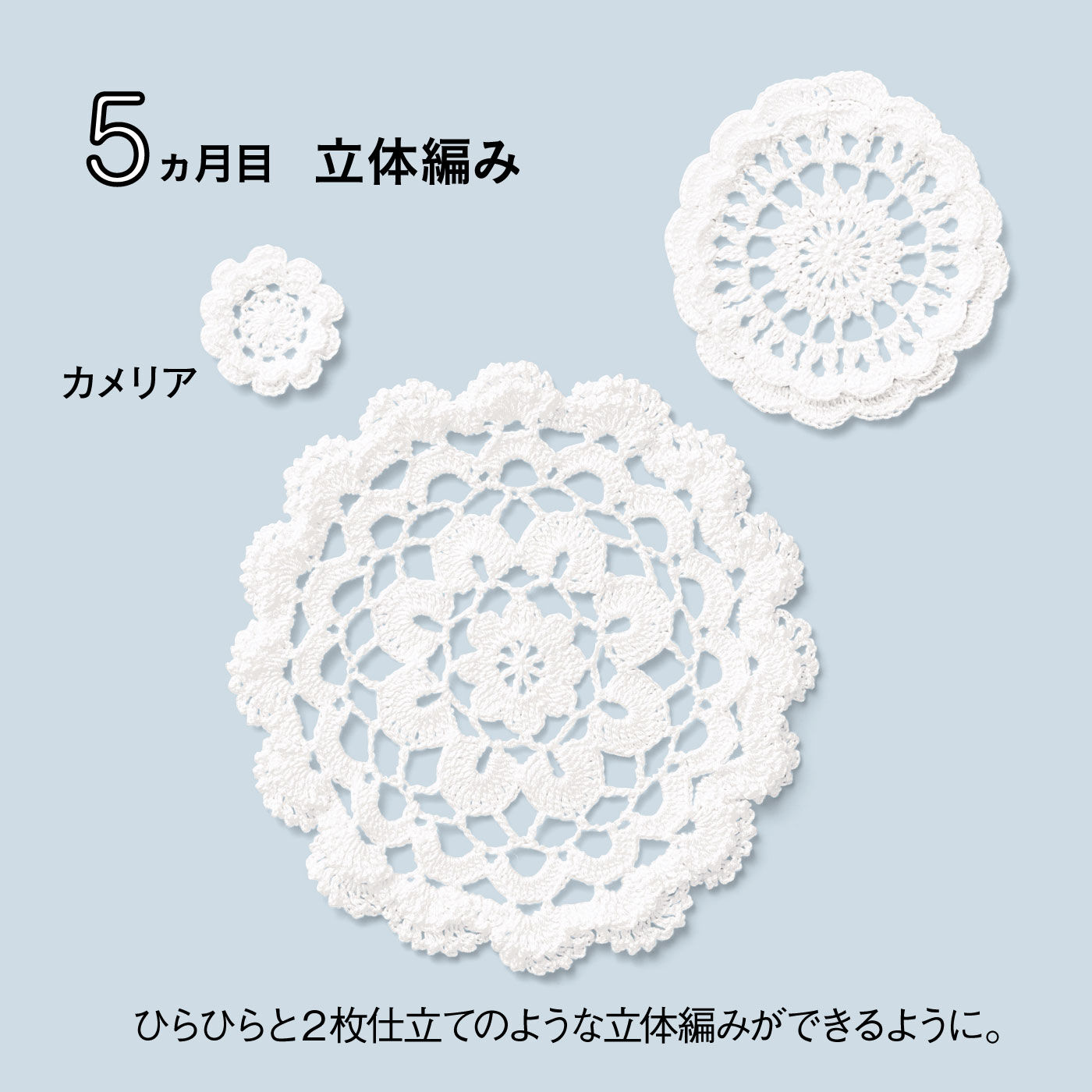 Couturier|【初回特別価格　6回エントリー】お花でレッスン　ごほうびはドイリー♪ 「はじめてさんのきほんのき」レース編み教室の会