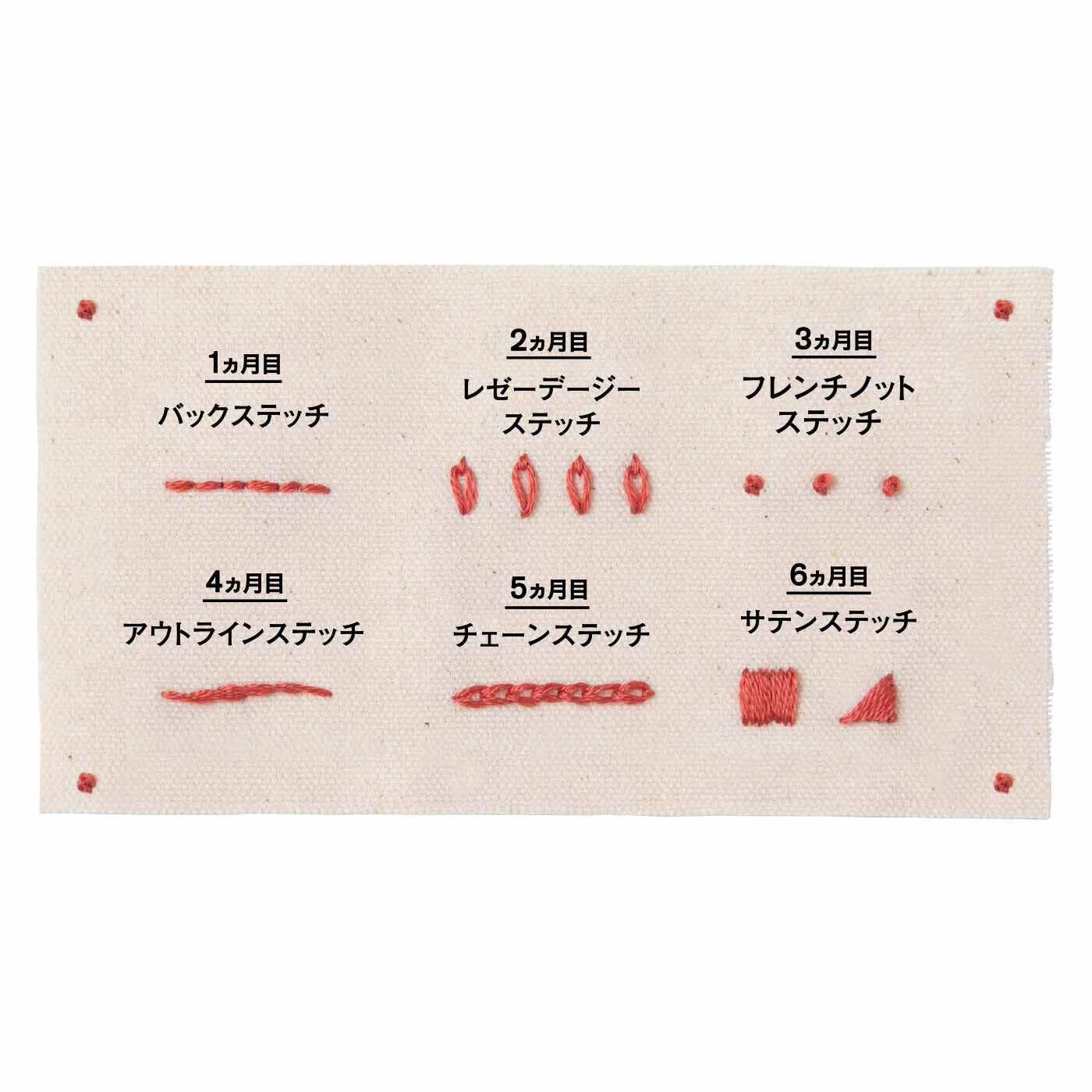 Couturier|【初回特別価格　6回エントリー】ひとつのステッチから始める 刺しゅうてとりあしとりレッスンの会|（1）ひと月1ステッチ！