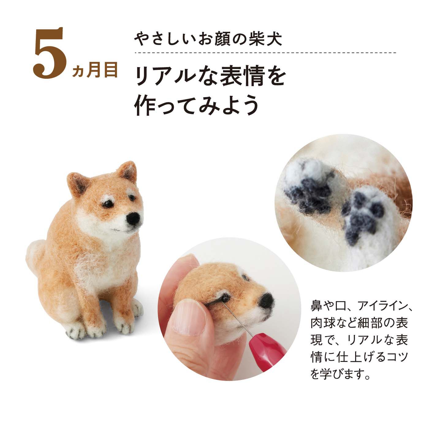 Couturier|【初回特別価格　6回エントリー】おはなしが聞こえてきそう♪　ニードルフェルトで作る動物たち「はじめてさんのきほんのき」の会