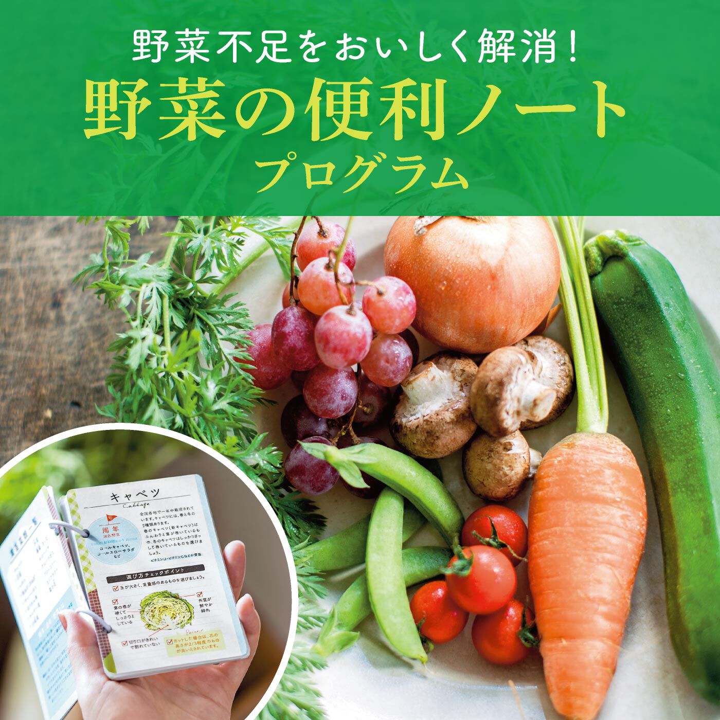 ミニツク|知って・使って・食べて野菜となかよくなる 暮らしに役立つ 野菜の便利ノートプログラム [10回予約プログラム]