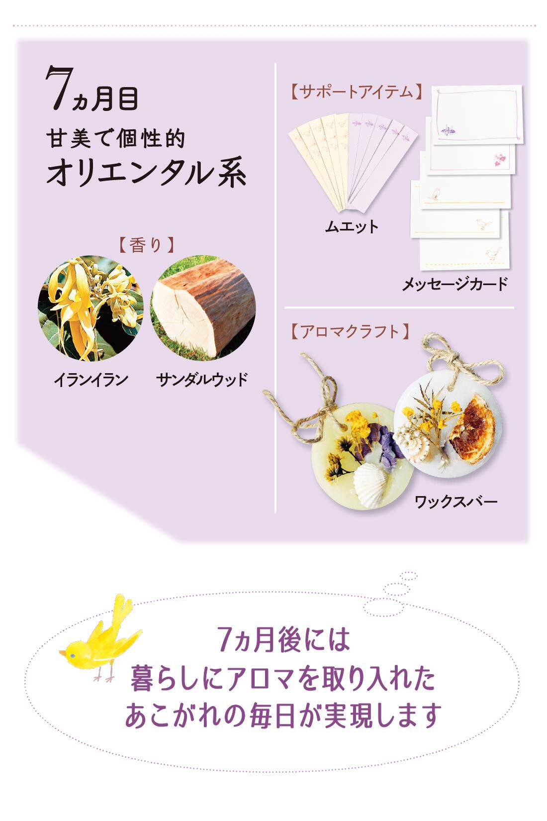 ミニツク|【総額6,160円OFF】セルフブレンドで見つける香り 心とからだにゆるやかな癒やし はじめてのブレンドアロマレッスンプログラム ［7回予約プログラム］