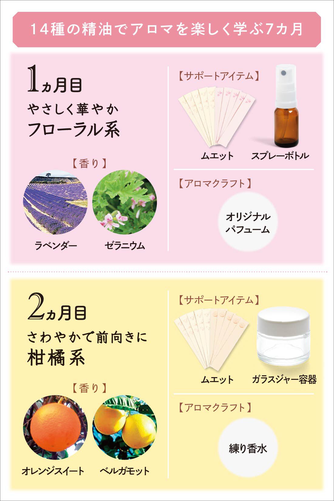 ミニツク|【総額6,160円OFF】セルフブレンドで見つける香り 心とからだにゆるやかな癒やし はじめてのブレンドアロマレッスンプログラム ［7回予約プログラム］