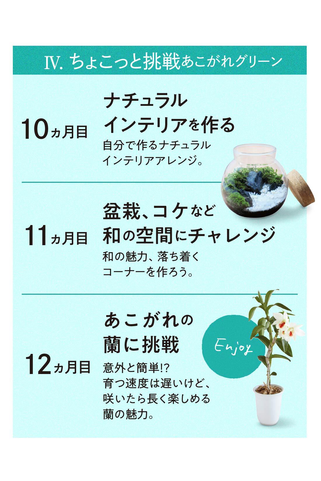 ミニツク|【総額9,240円OFF】カジュアルプランツのきほん 植物とくらすプログラム［12回予約プログラム］