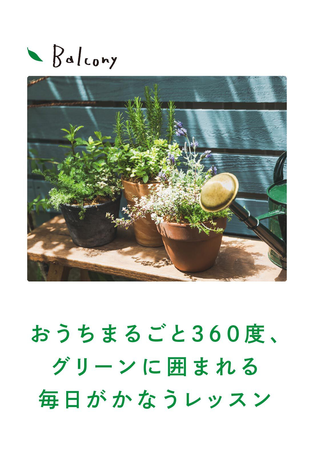 ミニツク|【総額9,240円OFF】カジュアルプランツのきほん 植物とくらすプログラム［12回予約プログラム］