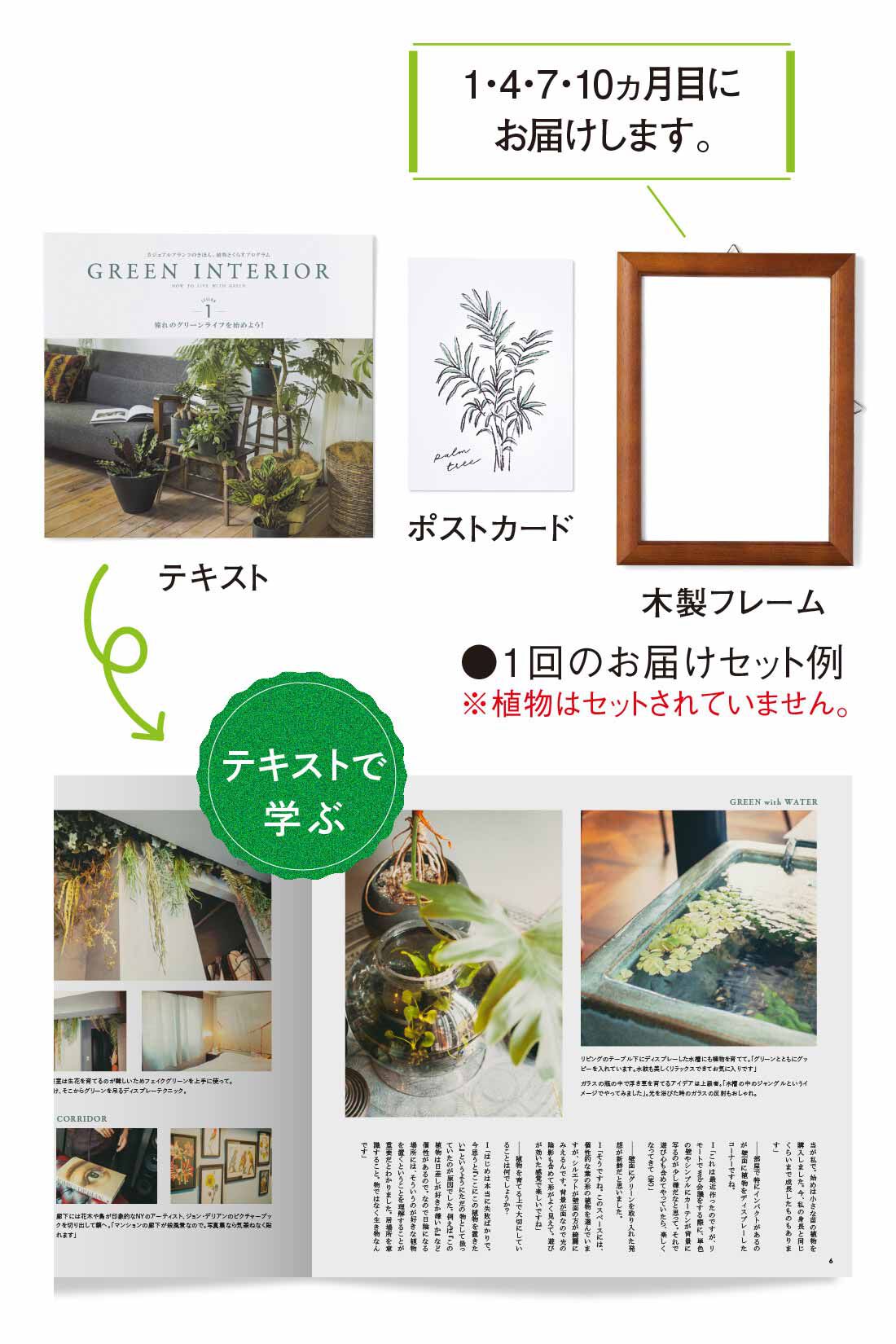 ミニツク|【総額9,240円OFF】カジュアルプランツのきほん 植物とくらすプログラム［12回予約プログラム］