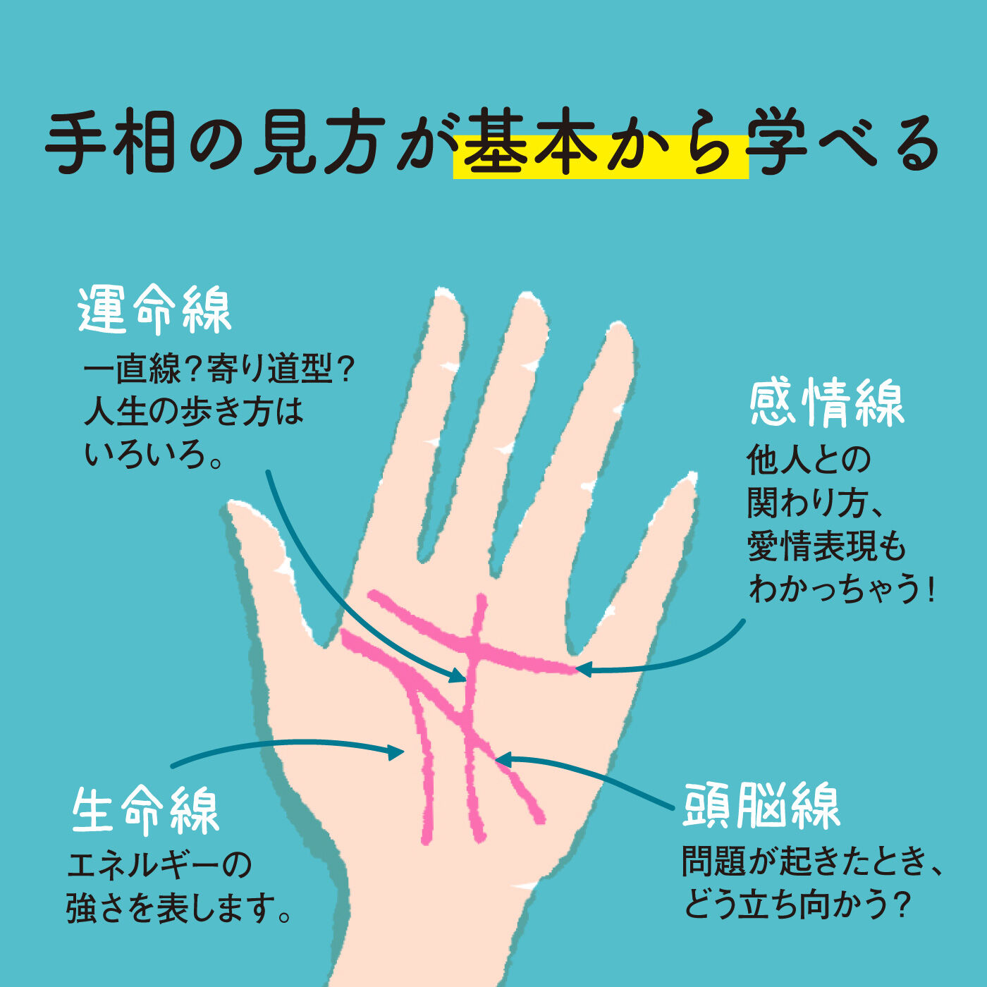 ミニツク|笑顔のきっかけ 手相でなかよしプログラム［12回予約プログラム］|たくさんあるシワのなかから交通整理をして、鑑定すべき線を見極めます！