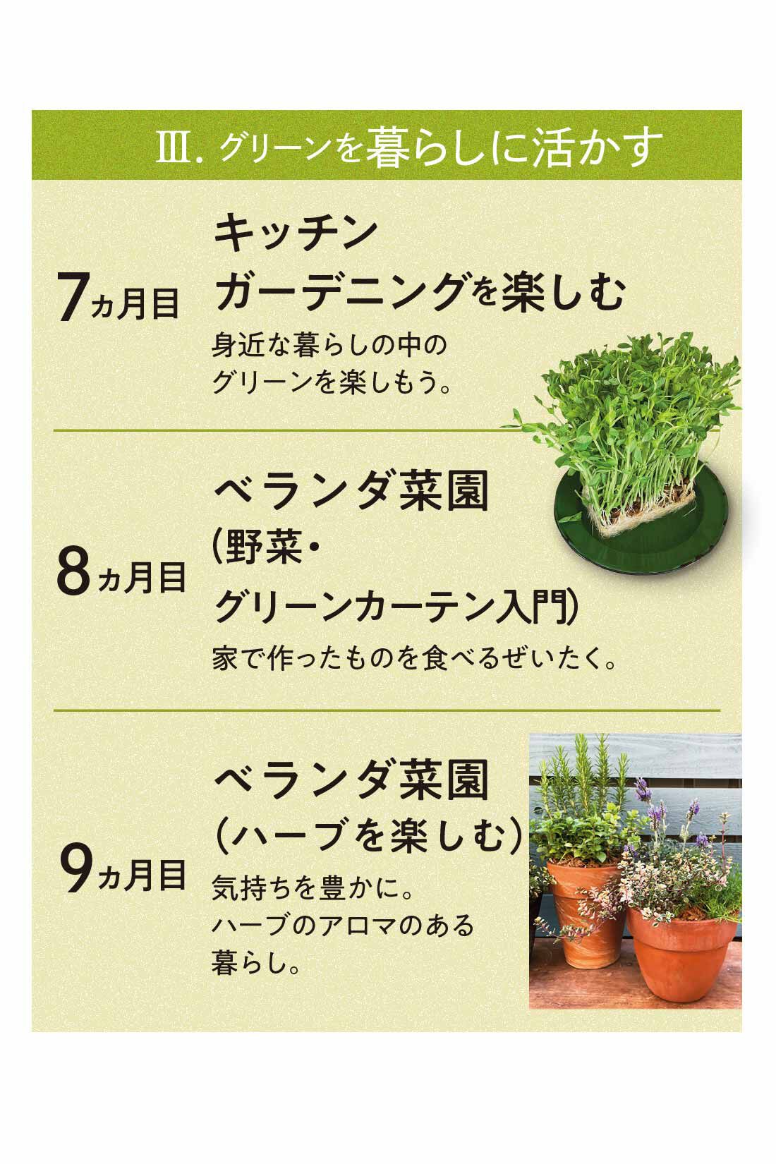 ミニツク|【総額9,240円OFF】カジュアルプランツのきほん 植物とくらすプログラム［12回予約プログラム］