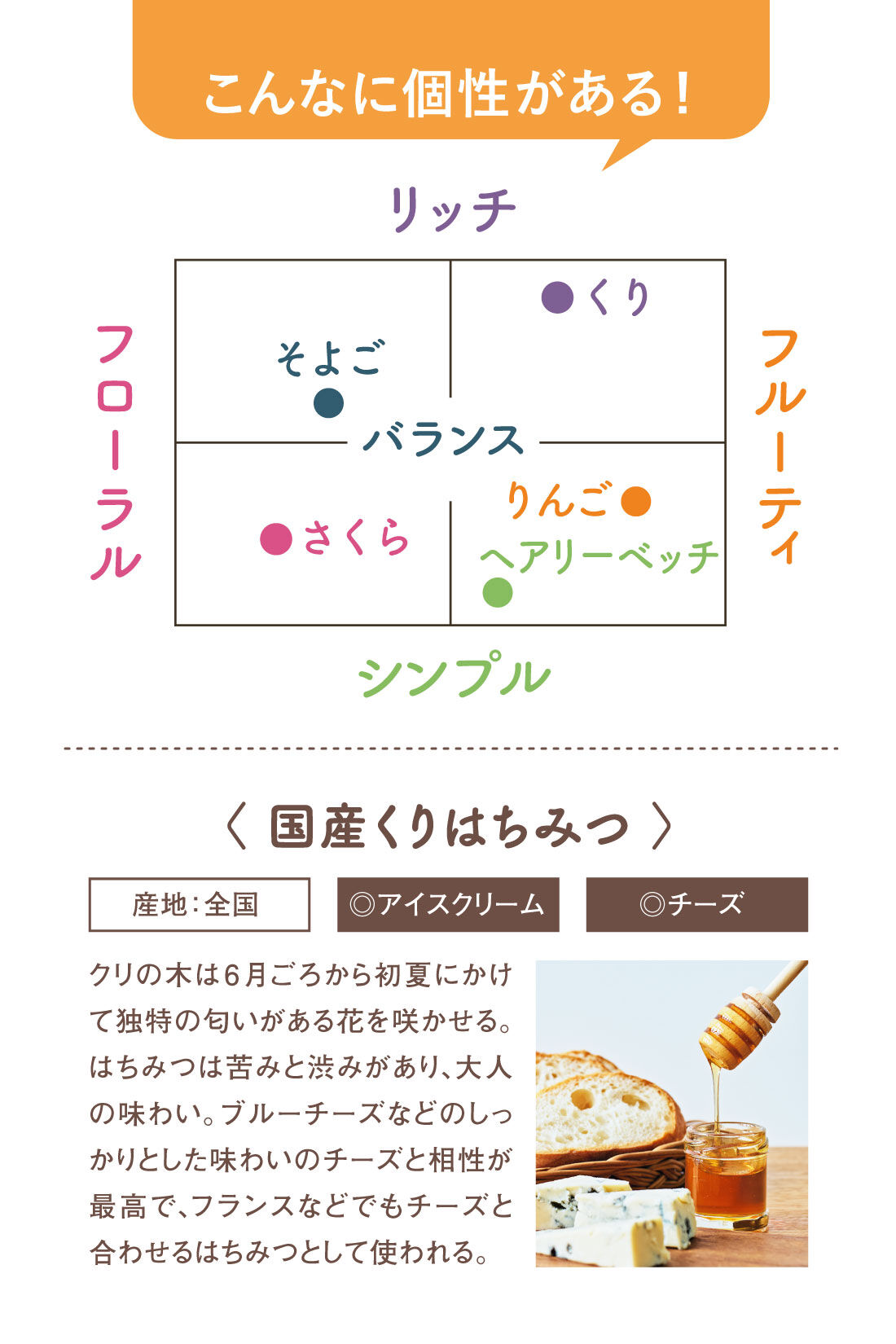 ミニツク|【初回半額】みつばち沼にようこそ 神秘のはちみつ食べ比べプログラム［3回予約プログラム］