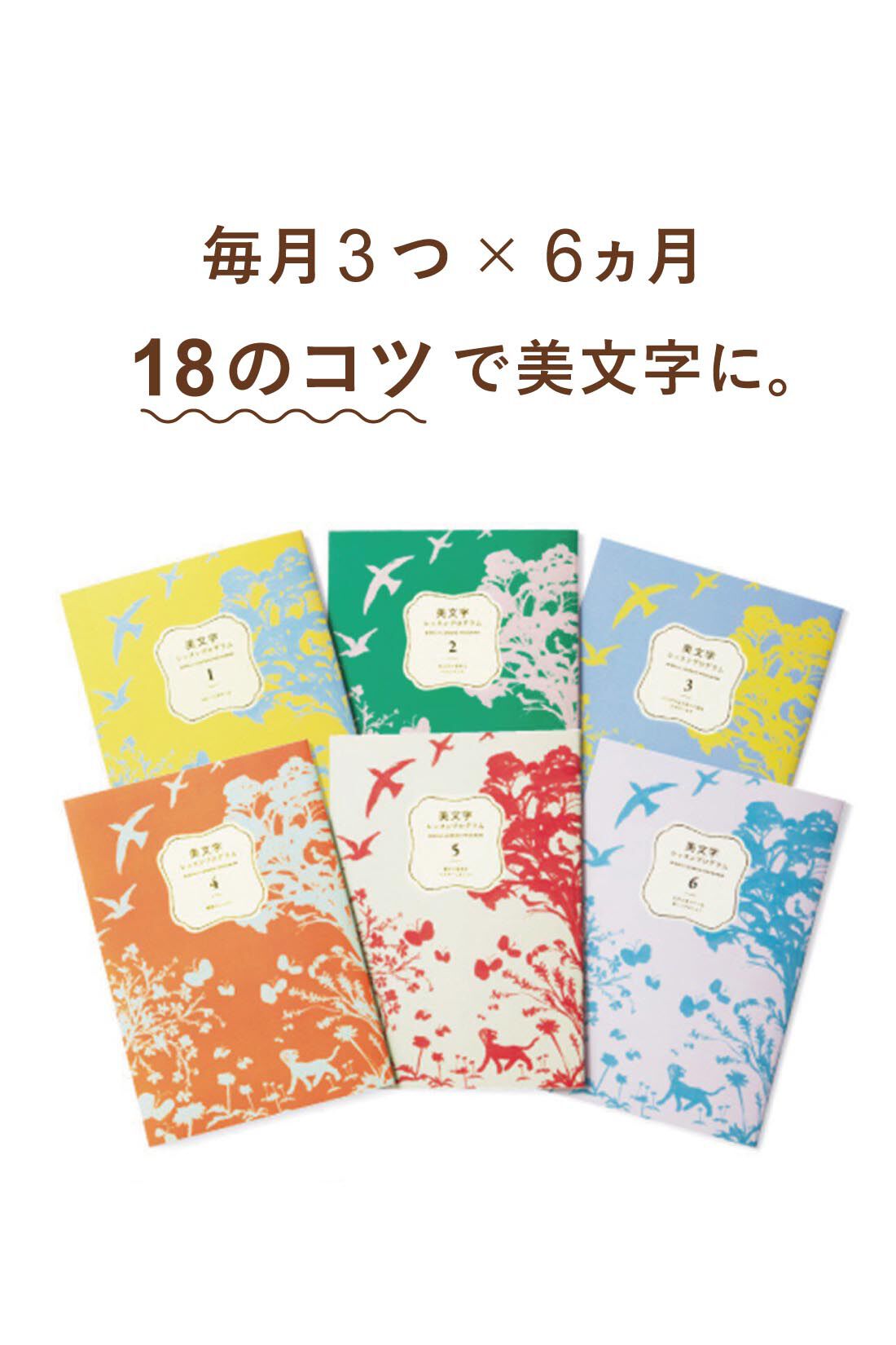 ミニツク|18のコツを身につければ字がぐんとうまくなる きれいな文字はあなたを変える！美文字レッスンプログラム［6回予約プログラム］|毎月たった3つのコツを身につけるだけで文字がぐんとうまくなる、フェリシモの『美文字レッスンプログラム』。大人の今こそ、始めどき。さあ、あなたも美文字を手に入れて、新しい自分に出会いましょう！