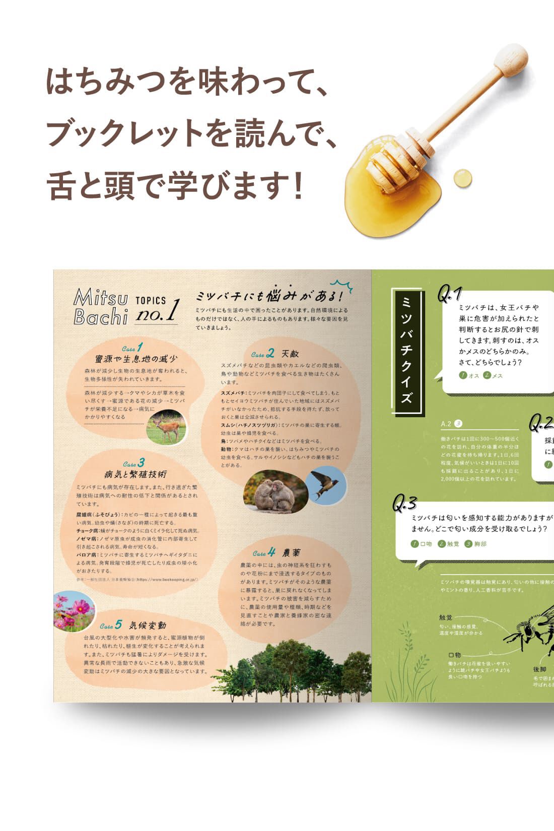 ミニツク|【初回半額】みつばち沼にようこそ 神秘のはちみつ食べ比べプログラム［3回予約プログラム］