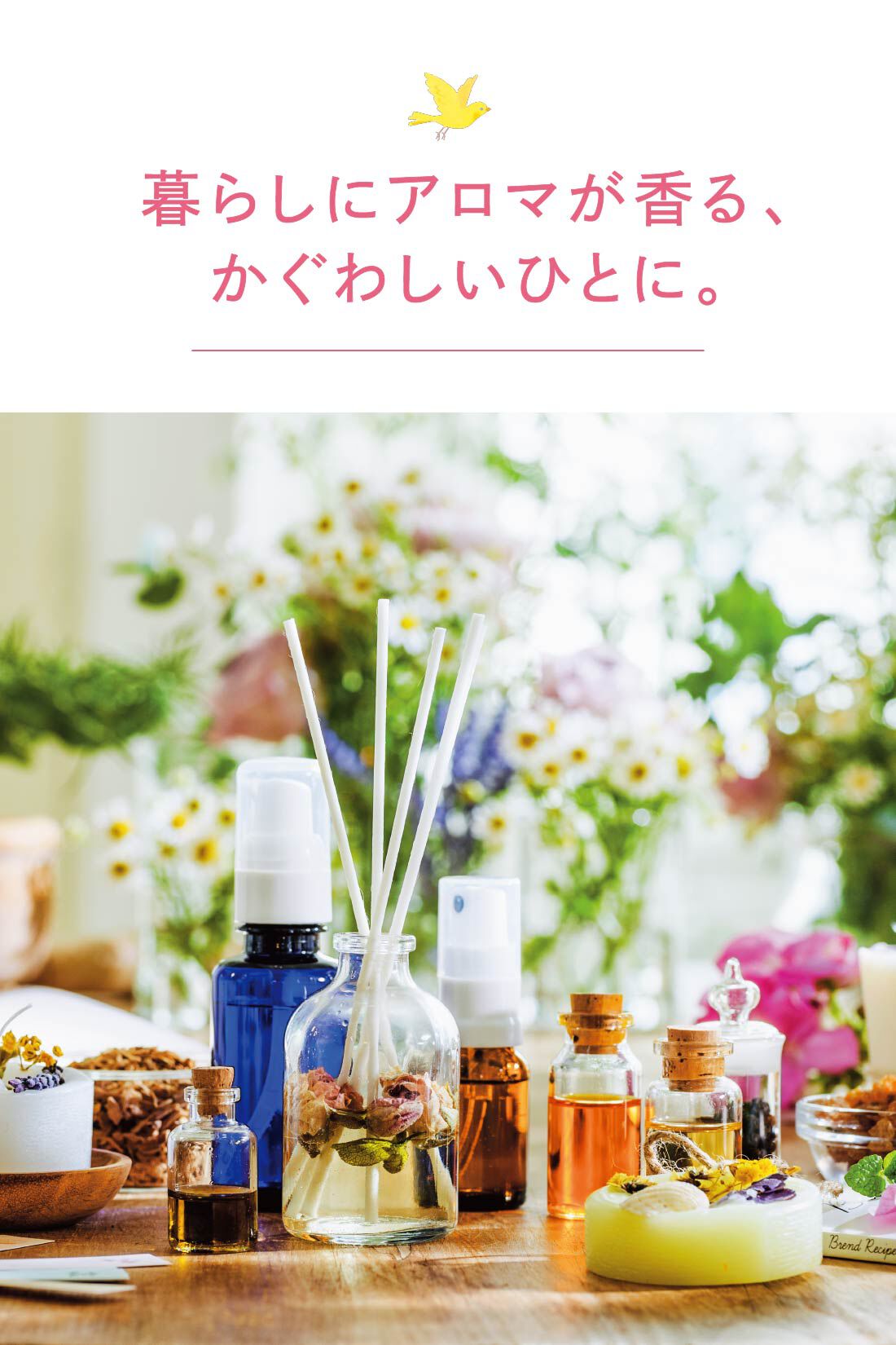 ミニツク|【総額6,160円OFF】セルフブレンドで見つける香り 心とからだにゆるやかな癒やし はじめてのブレンドアロマレッスンプログラム ［7回予約プログラム］