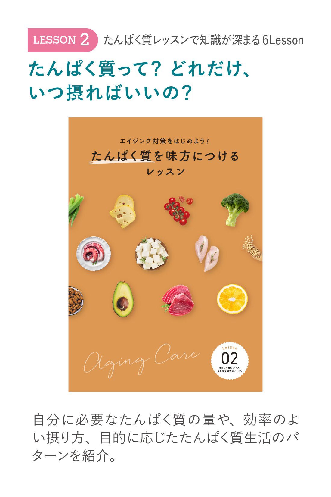 ミニツク|エイジング対策をはじめよう！ たんぱく質を味方につけるレッスンプログラム ［6回予約プログラム］