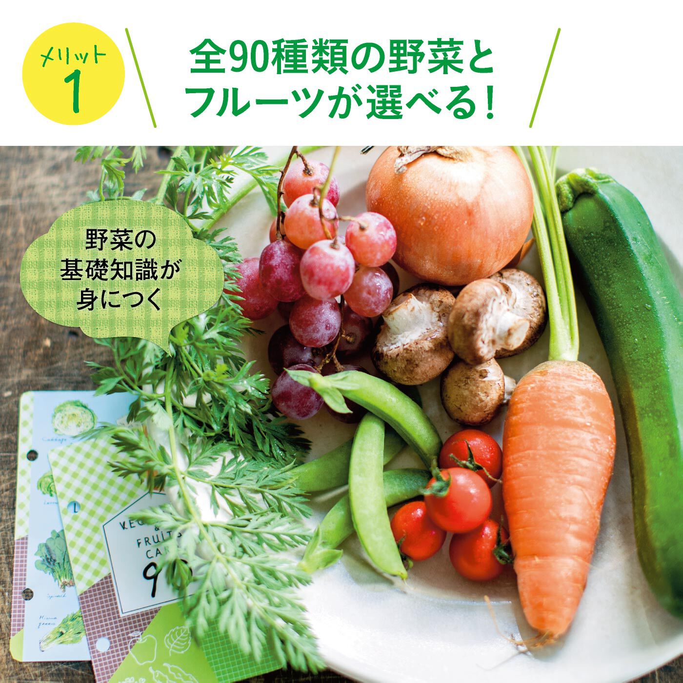 ミニツク|知って・使って・食べて野菜となかよくなる 暮らしに役立つ 野菜の便利ノートプログラム [10回予約プログラム]