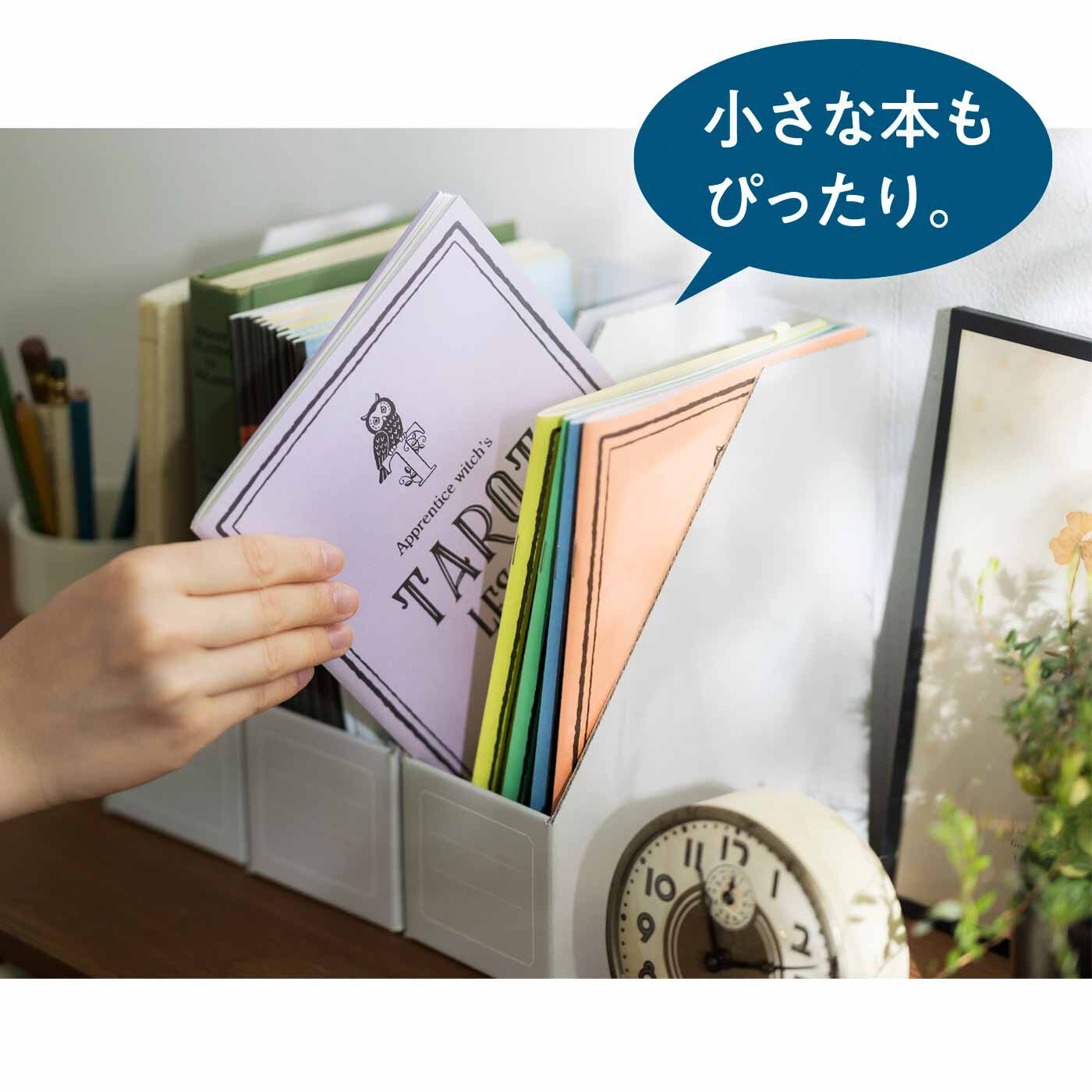 ミニツク|ミニツク チョコット スリムブックもすっきり収納 ミニブックスタンド〈B5〉の会|こちらはA5サイズのイメージです