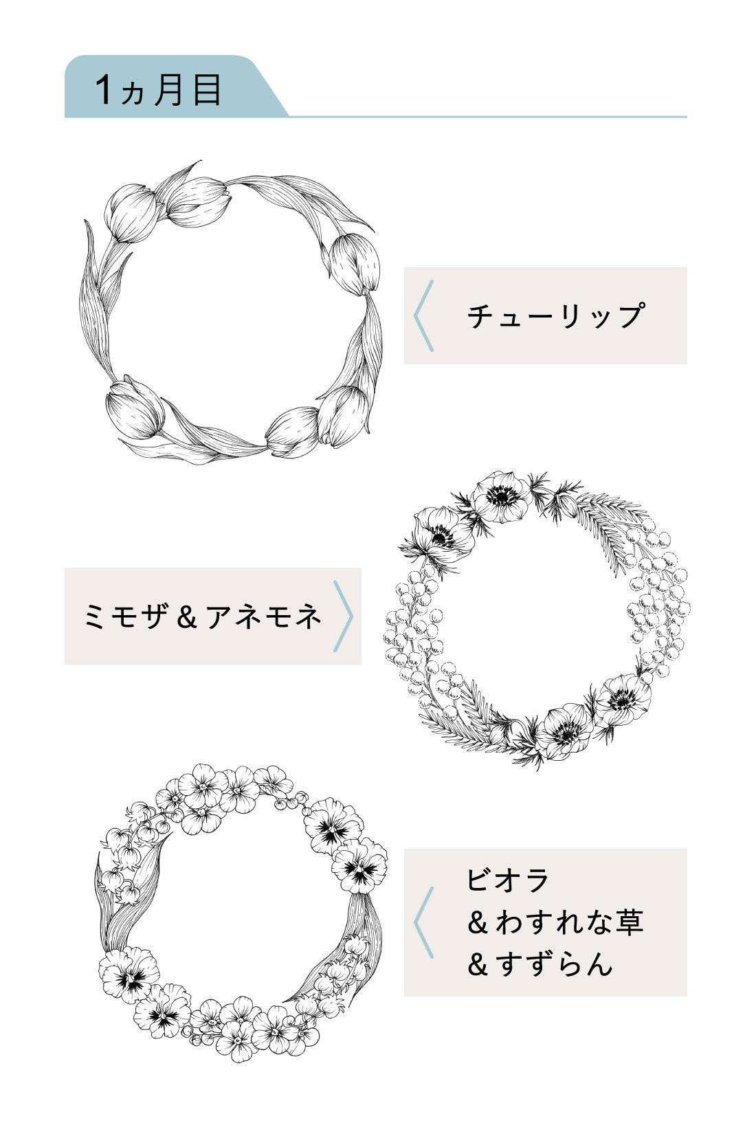 ミニツク|ペン1本でリースを描く ボタニカルイラストプログラム［3回予約プログラム］