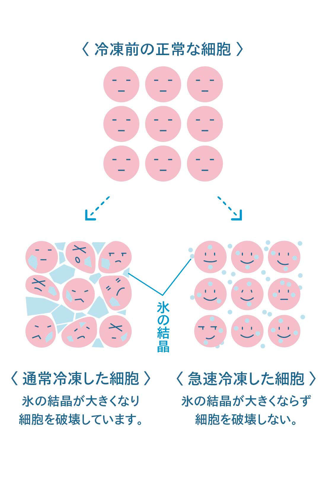 ミニツク|時短・簡単・栄養アップ 冷凍保存が上手になるプログラム［6回予約プログラム］