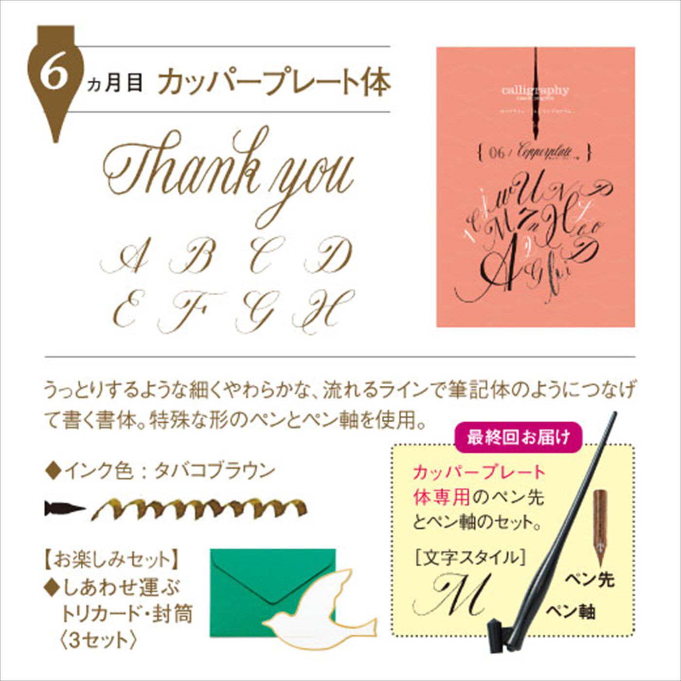 ミニツク|一度書いてみたかった！ 文字に魅せられる生活 カリグラフィーレッスンプログラム[６回予約プログラム]