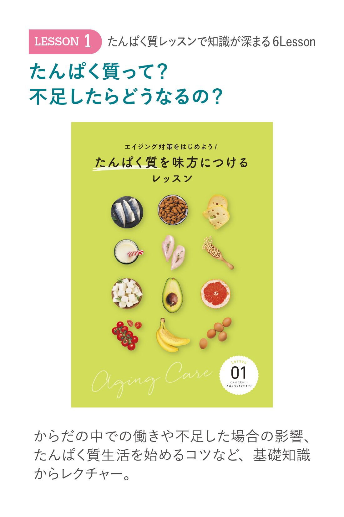 ミニツク|エイジング対策をはじめよう！ たんぱく質を味方につけるレッスンプログラム ［6回予約プログラム］