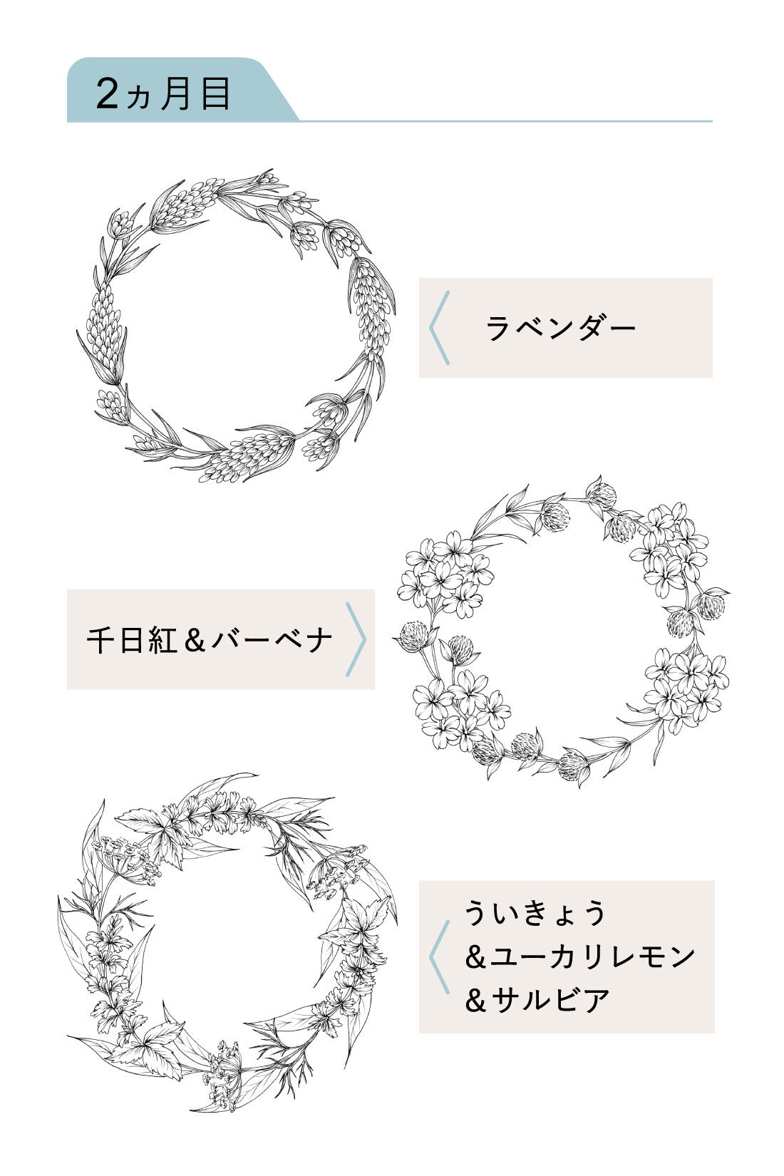 ミニツク|ペン1本でリースを描く ボタニカルイラストプログラム［3回予約プログラム］