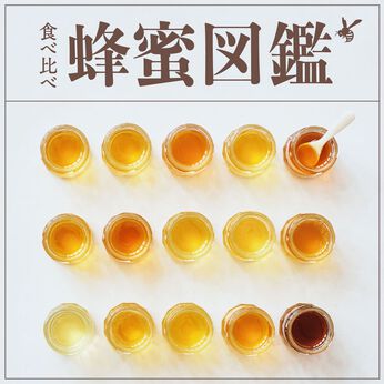 ミニツク | 神秘のはちみつ食べ比べプログラム