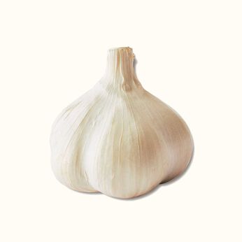 ミニツク | 食材をパワーチャージ！にんにく料理プログラム