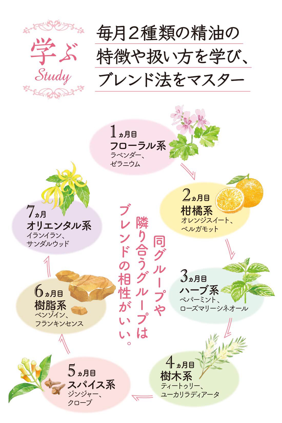 ミニツク|【総額6,160円OFF】セルフブレンドで見つける香り 心とからだにゆるやかな癒やし はじめてのブレンドアロマレッスンプログラム ［7回予約プログラム］