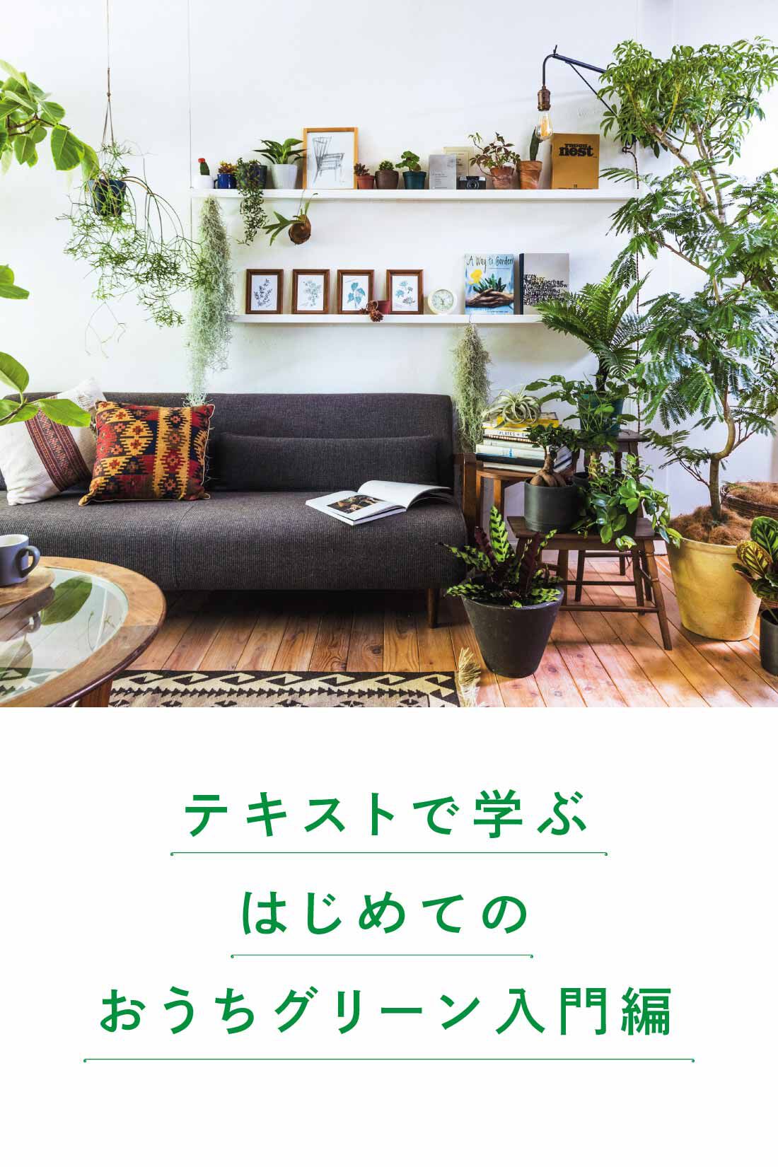ミニツク|【総額9,240円OFF】カジュアルプランツのきほん 植物とくらすプログラム［12回予約プログラム］