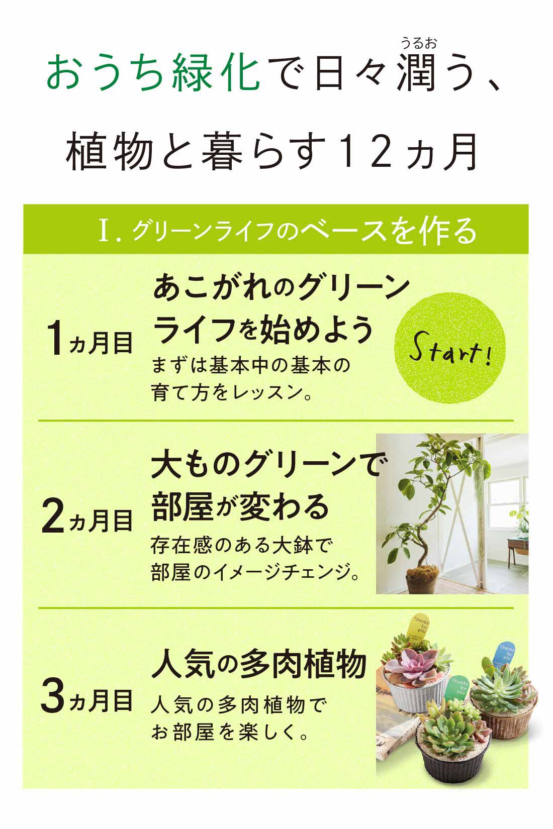 ミニツク|【総額9,240円OFF】カジュアルプランツのきほん 植物とくらすプログラム［12回予約プログラム］