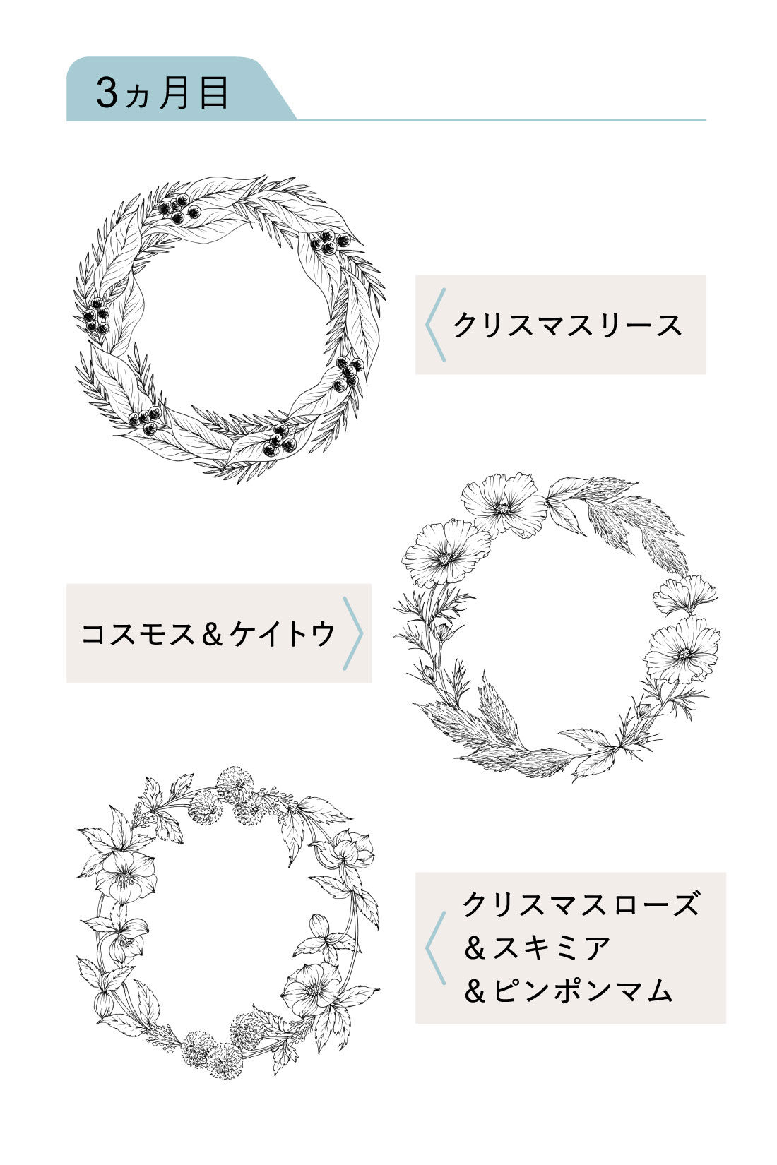 ミニツク|ペン1本でリースを描く ボタニカルイラストプログラム［3回予約プログラム］