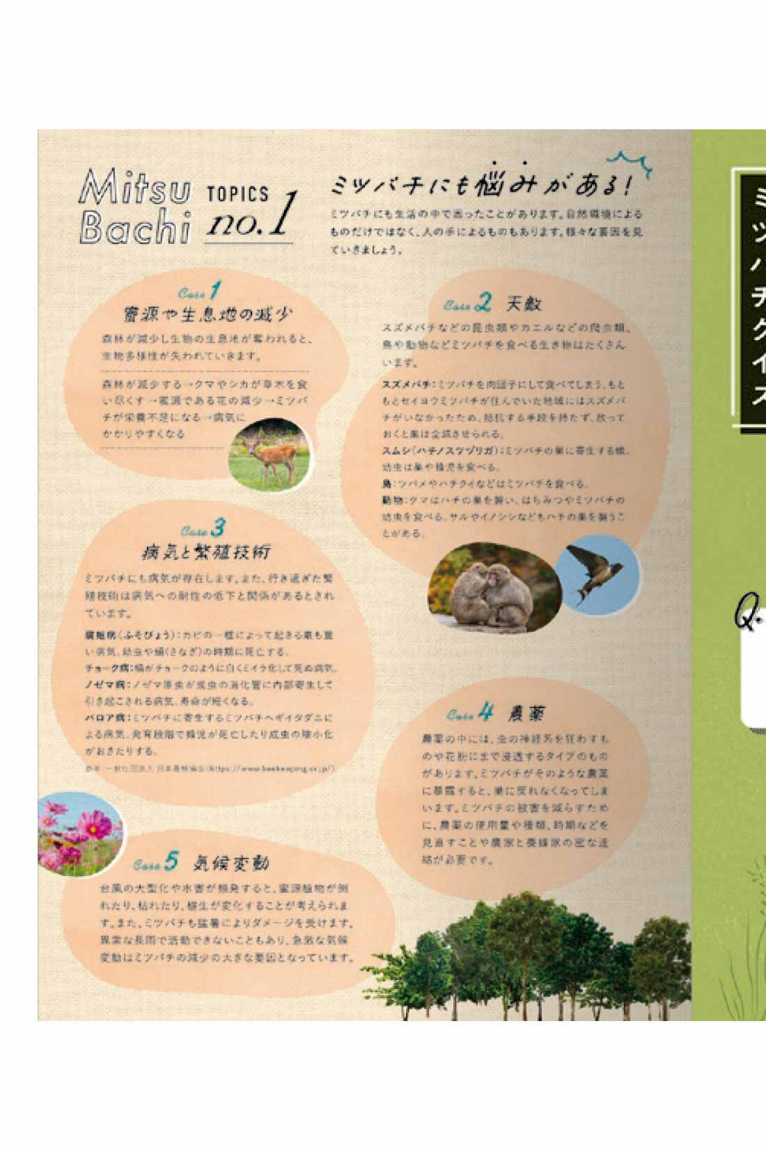 ミニツク|【初回半額】みつばち沼にようこそ 神秘のはちみつ食べ比べプログラム［3回予約プログラム］