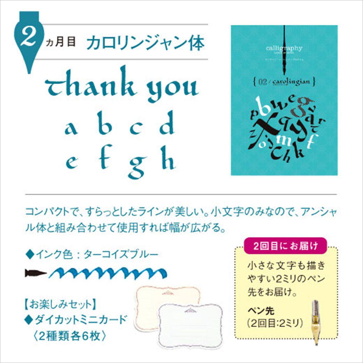 ミニツク|一度書いてみたかった！ 文字に魅せられる生活 カリグラフィーレッスンプログラム[６回予約プログラム]