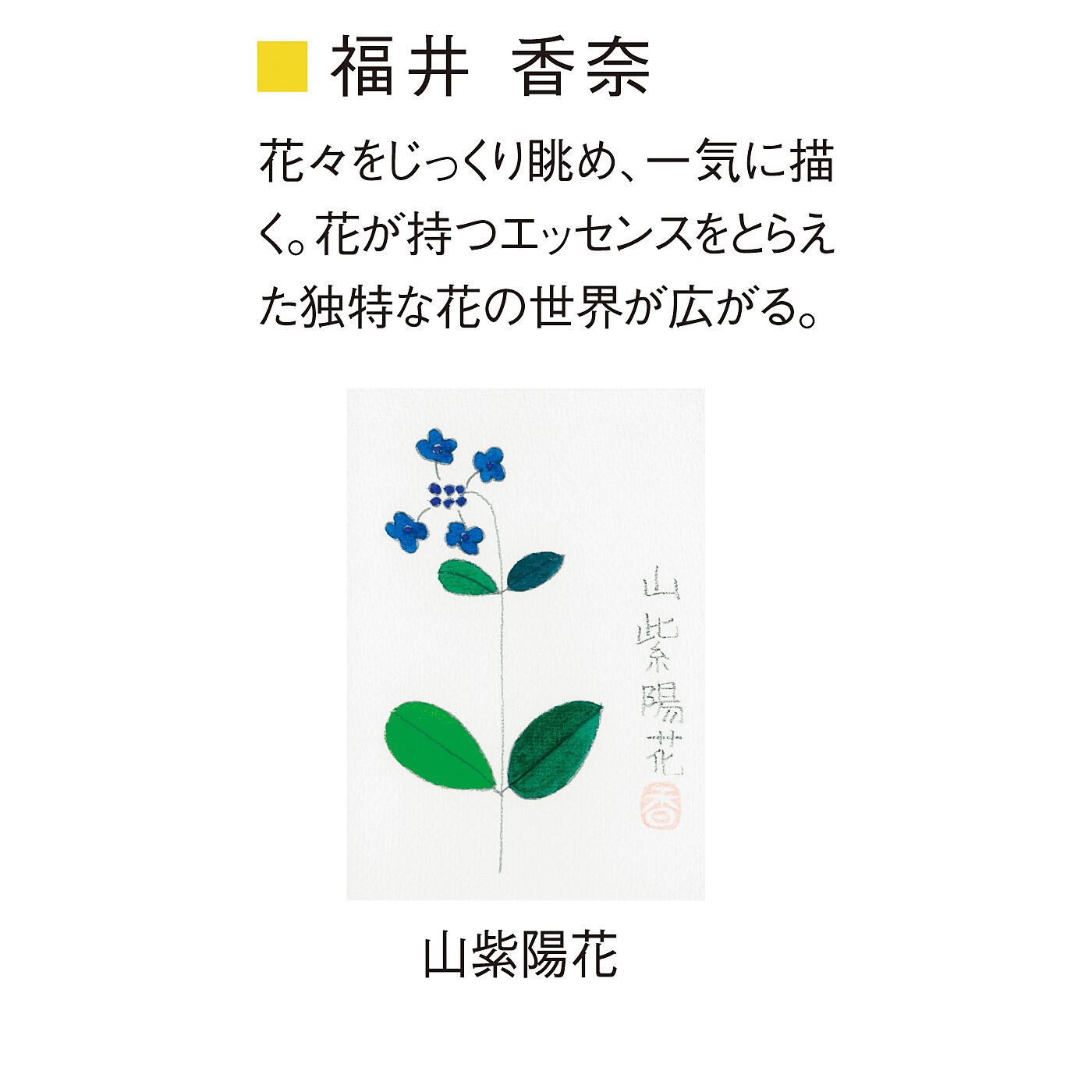 C.C.P|CCP ユニカラート　指先にアートをまとう　ぷっくりジェル風ネイルシール〈パート４〉の会