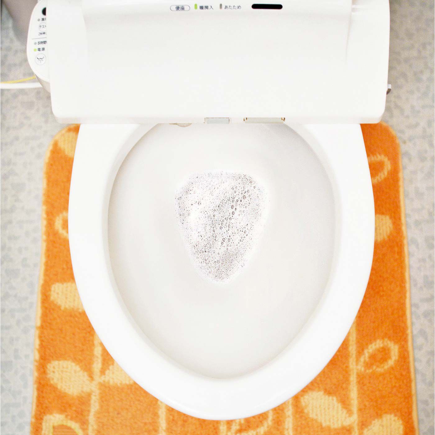 お掃除中にふんわり香る 水洗トイレの水ぎわ汚れ&パイプの汚れを退治する 非塩素トイレクリーナーの会【送料: 450円+税】