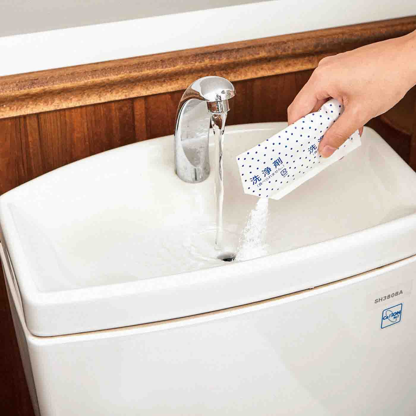 週1回のお掃除ですっきり 入れるだけの トイレタンククリーナーの会【送料: 450円+税】