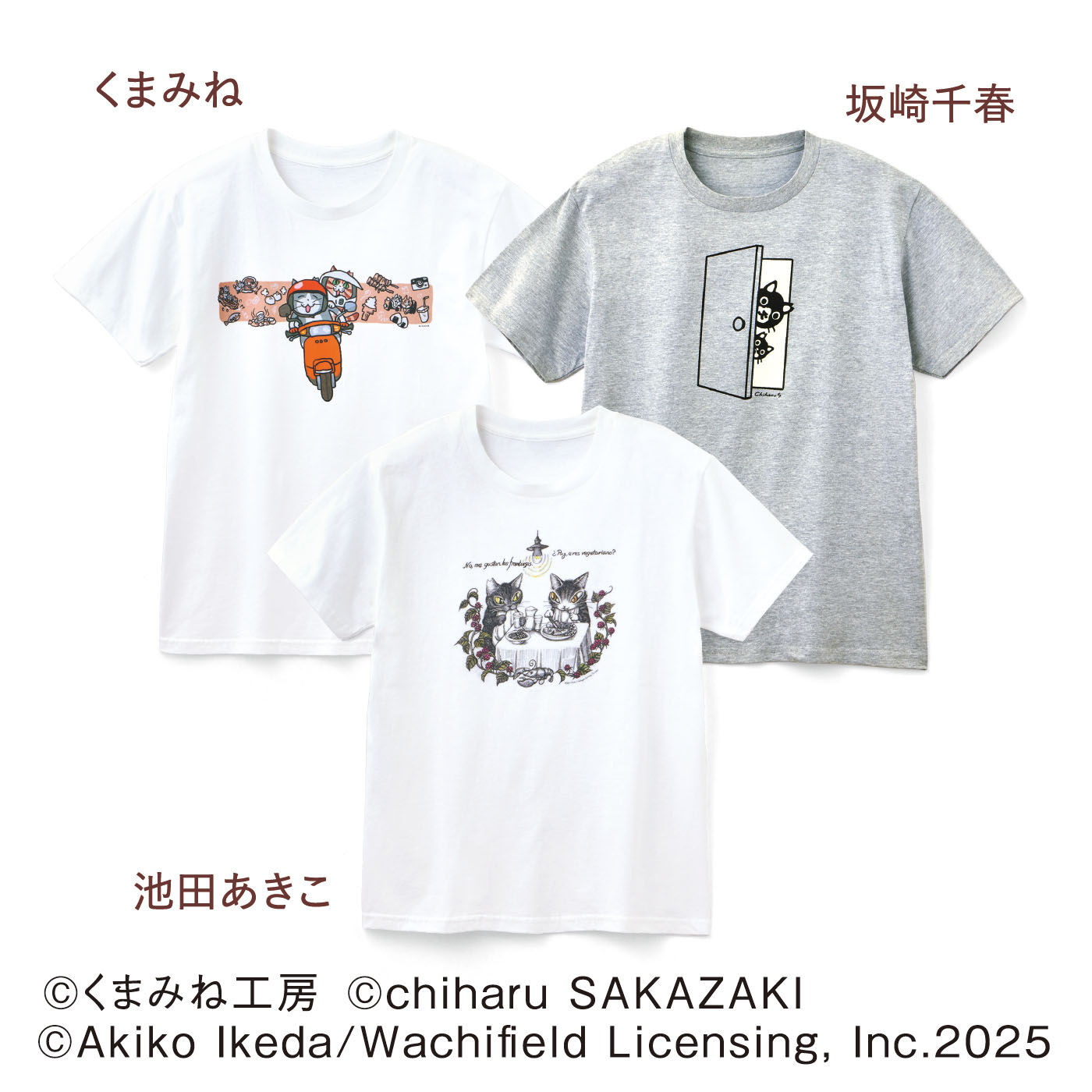 【6月分以降お届け】Tシャツ2025 3回予約コース(くまみね・坂崎千春・池田あきこ)【送料無料】